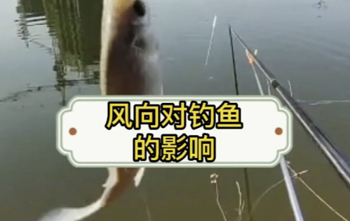 f.png