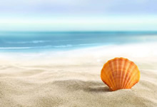 夜钓鲢鳙饵料选择的技巧有哪些