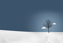 夜钓鲢鳙饵料选择的技巧有哪些