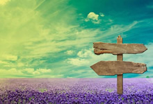 夜钓鲢鳙饵料选择的技巧有哪些